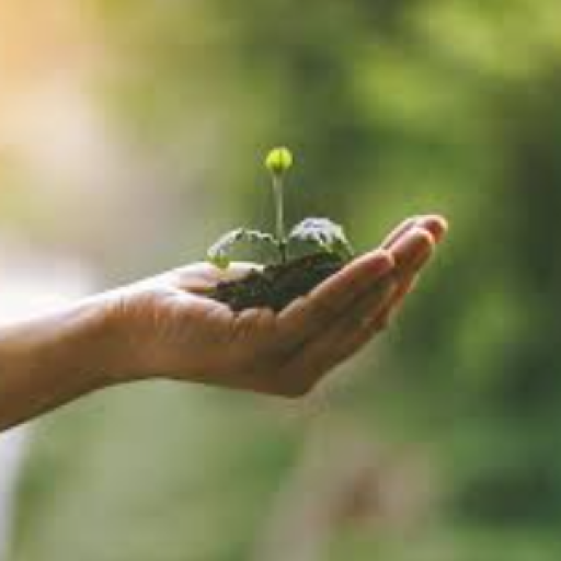 Delitos ambientales thumbnail